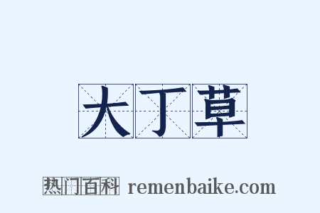 大丁草是什么意思的图片